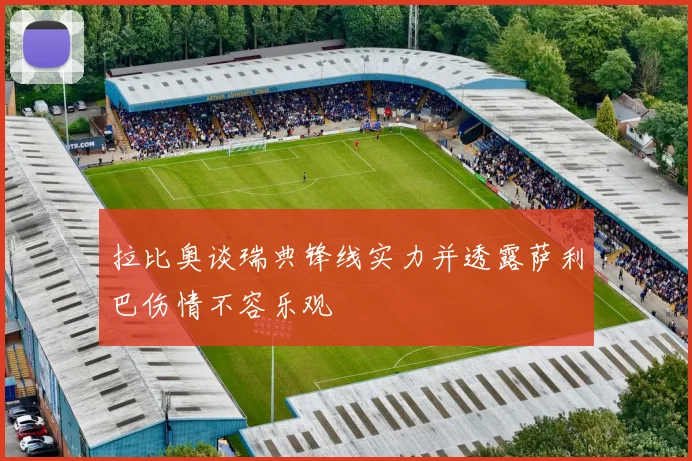 拉比奥谈瑞典锋线实力并透露萨利巴伤情不容乐观