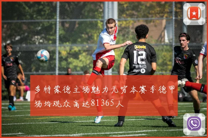 多特蒙德主场魅力无穷本赛季德甲场均观众高达81365人